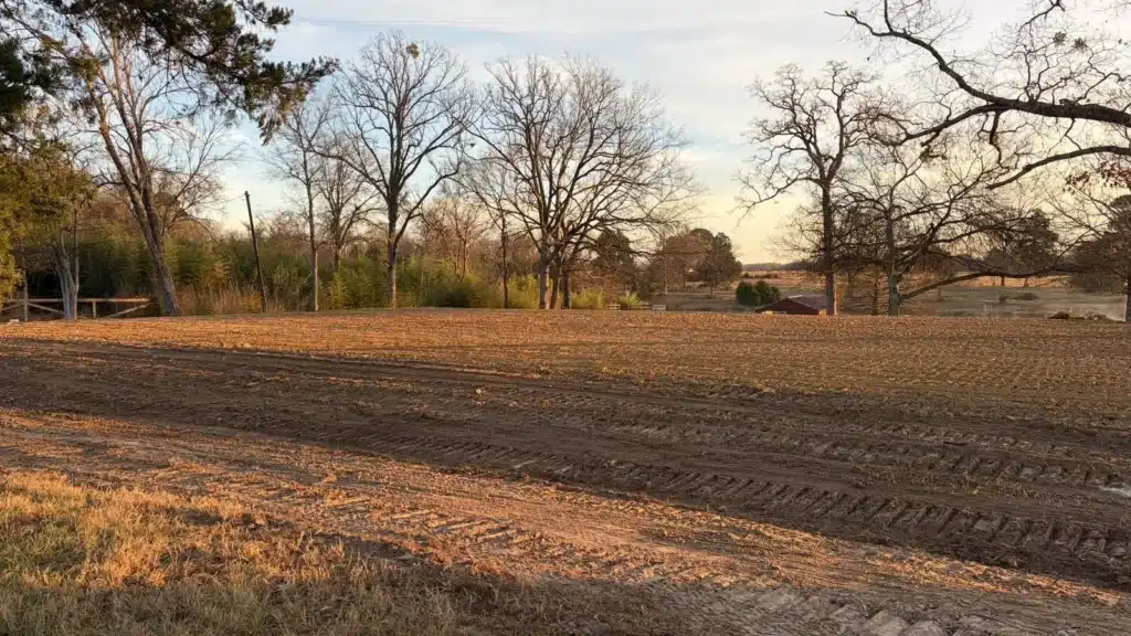 Cleared East Texas property with leafless trees in winter